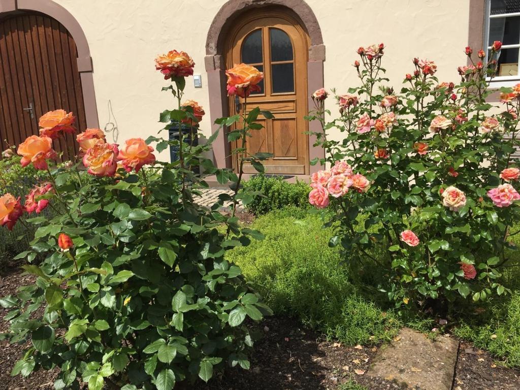 Ferienwohnung In Historischem Bauernhaus In Der Eifel Mettendorf エクステリア 写真